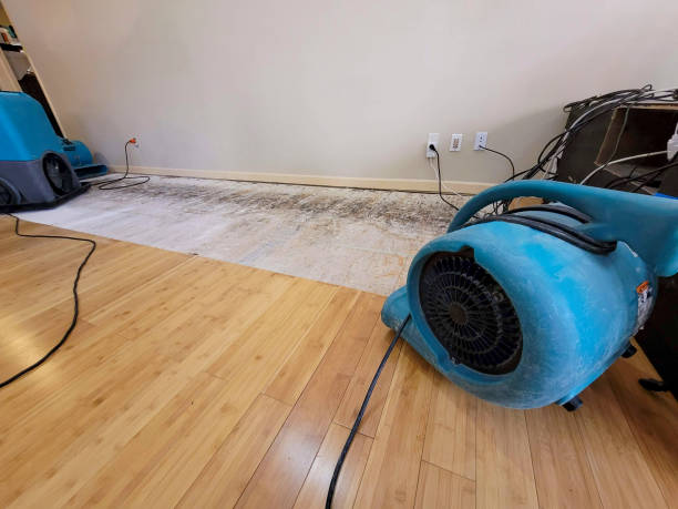 Professional Water Damage Repair technician working in Plaistow, NH